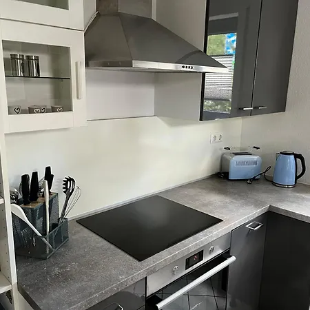 Aner 1 Stilvolle In Dresden-loschwitz * ドレスデン