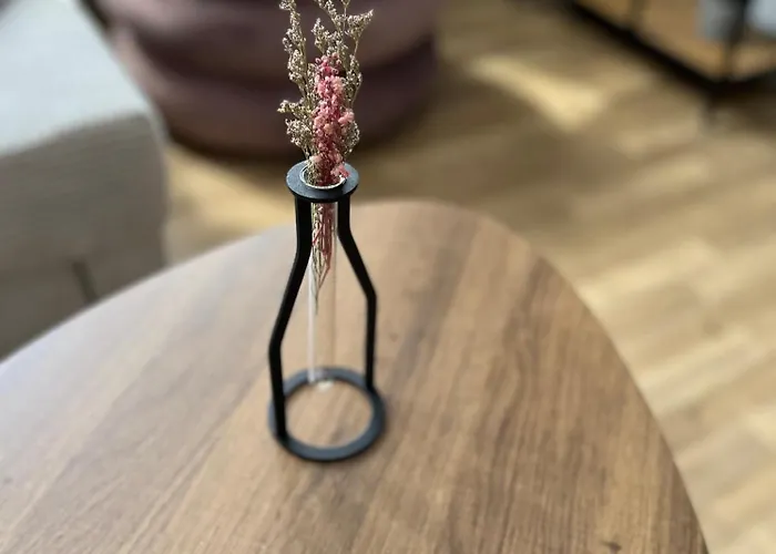 Lägenhet Aner 1 Stilvolle In Dresden-loschwitz Dresden