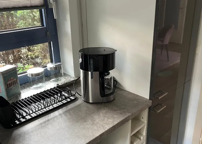 Lägenhet Aner 1 Stilvolle In Dresden-loschwitz Dresden