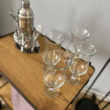 Apartment Aner 1 Stilvolle In Dresden-loschwitz Dresden