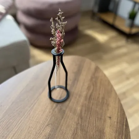 Apartment Aner 1 Stilvolle In Dresden-loschwitz Dresden