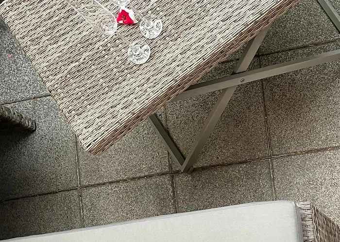 公寓 Aner 1 Stilvolle In Dresden-loschwitz