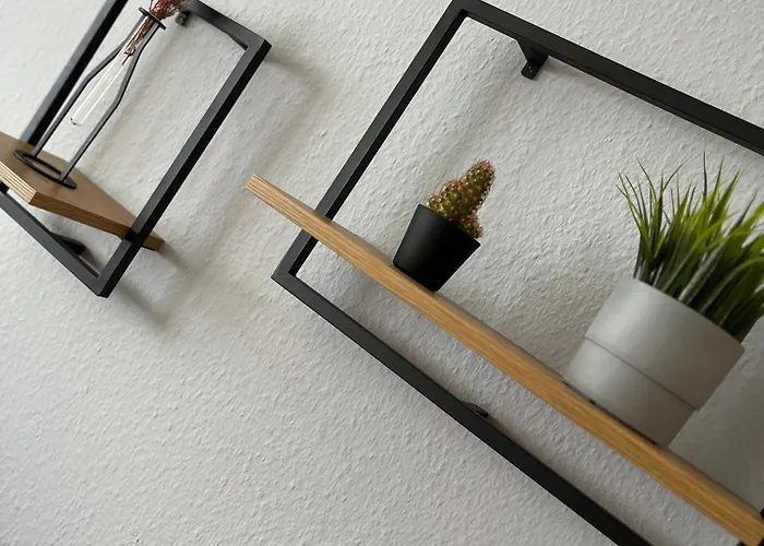 Aner 1 Stilvolle In Dresden-loschwitz * 德累斯顿