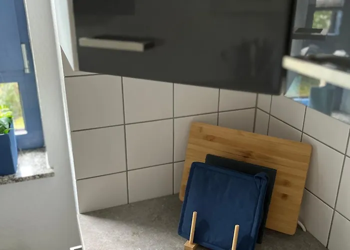 Aner 1 Stilvolle In Dresden-loschwitz 公寓 德累斯顿