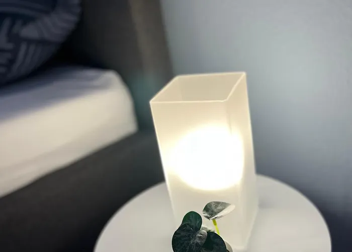 公寓 Aner 1 Stilvolle In Dresden-loschwitz 德累斯顿