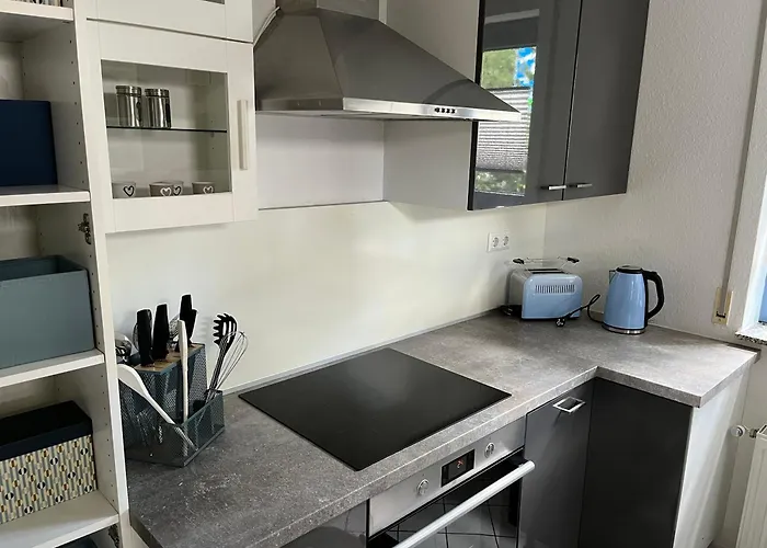 Aner 1 Stilvolle In Dresden-loschwitz * 德累斯顿