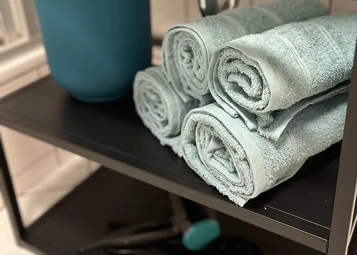 公寓 Aner 1 Stilvolle In Dresden-loschwitz